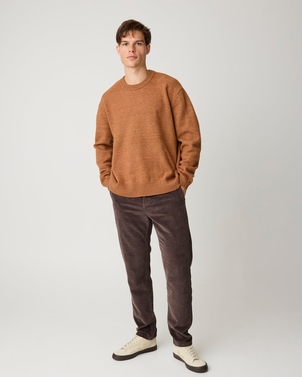 Oak regular corduroy pants - Chocolate Torte