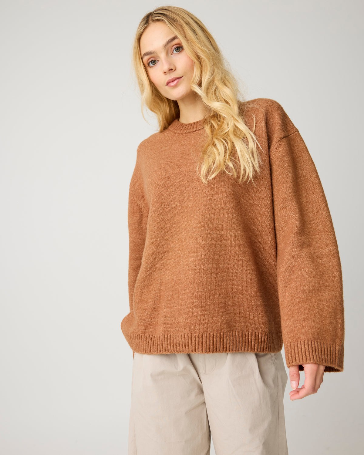 Soufflé yarn sweater - Lion